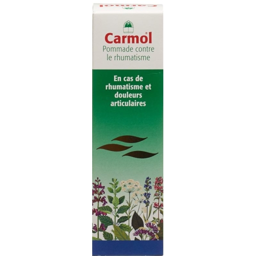 Carmol Rheumasalbe 80g buy online