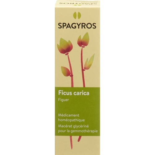 Spagyros Gemmo Ficus Carica Glyc Maz D 1 30ml buy online