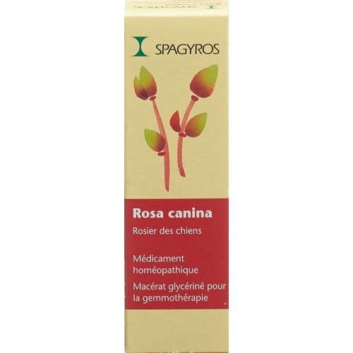 Spagyros Gemmo Rosa Canina Glyc Maz D 1 30ml buy online