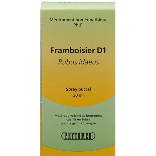 Phytomed Gemmo Himbeere Liquid D 1 30ml buy online