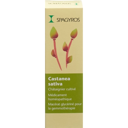 Spagyros Gemmo Castanea Sativa Glyc Maz D 1 30ml buy online