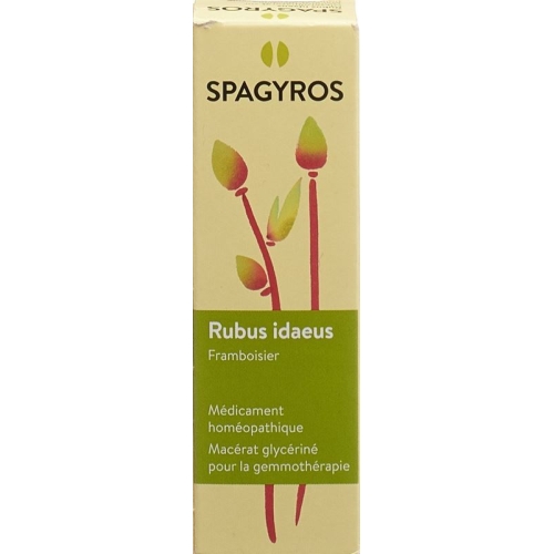 Spagyros Gemmo Rubus Ideaeus Glyc Maz D 1 30ml buy online