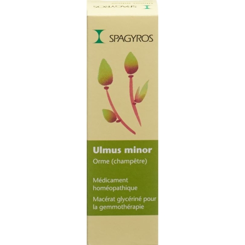 Spagyros Gemmo Ulmus Minor Glyc Maz D 1 30ml buy online