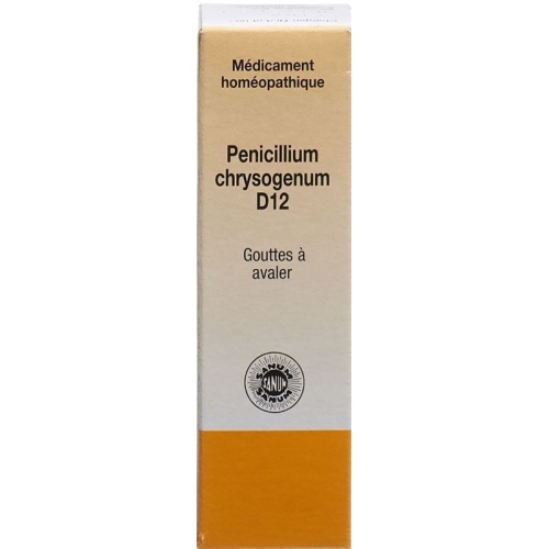 Sanum Penicillium Chrysogenum D 12 (notatum) 10ml buy online