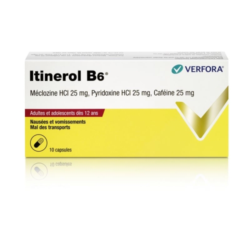 Itinerol B6 10 Kapseln buy online