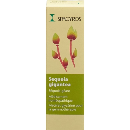 Spagyros Gemmo Sequoia Gigant Glyc Maz D 4 30ml buy online