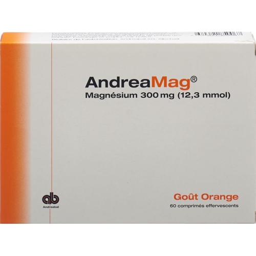 Andreamag Brausetabl 300 mg Orange flavor 60 pcs buy online