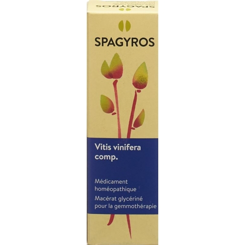 Spagyros Gemmo Comp Vitis vinifera Glyc Maz D 1 30 ml buy online