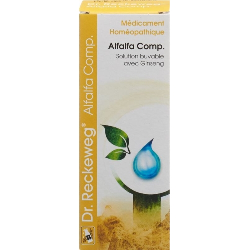 Reckeweg R95 Alfalfa Comp. Sirup Flasche 100ml buy online