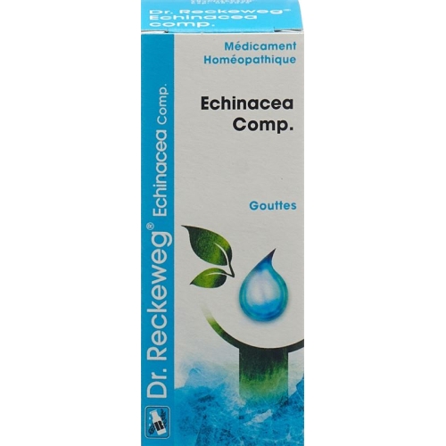 Reckeweg R193 Echinacea Comp. Tropfen Flasche 50ml buy online