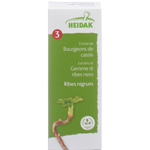 Heidak Knospe Johannisb Rib Nig Glyc Maz Flasche 30ml buy online