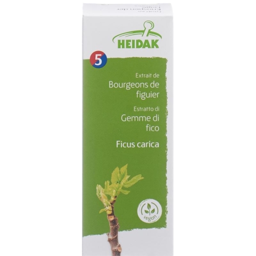 Heidak Knospe Feige Ficus Glyc Maz Flasche 30ml buy online