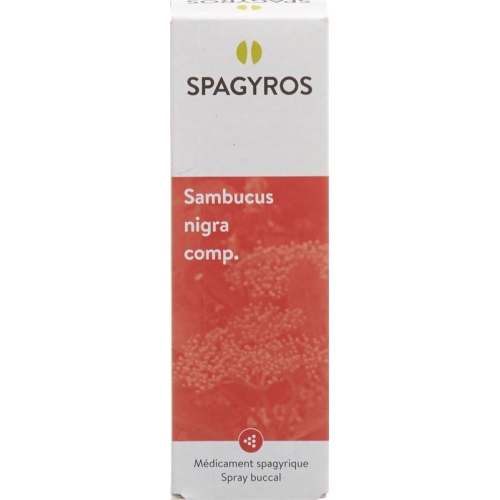 Spagyros Spagyr Comp Sambucus Nigra Comp Spray 50ml buy online