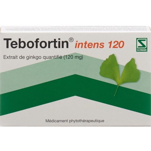 Tebofortin Intens 120 Filmtabletten 120mg 30 Stück buy online