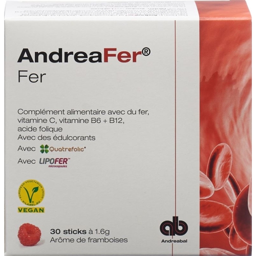 Andreafer Iron Sticks 30 pieces buy online