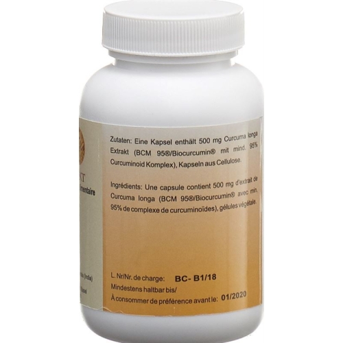 Holistic Med Curcuma-Extrakt 500mg Vegikap 90 Stück buy online