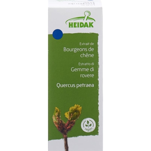 Heidak Knospe Eiche Quercus Petr Glyc Maz Flasche 30ml buy online