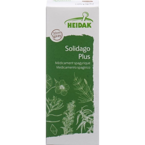 Heidak Spagyrik Solidago Plus Spray Flasche 30ml buy online