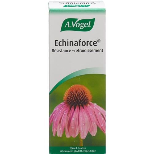 A.Vogel Echinaforce resistance cold drops Fl 200 ml buy online