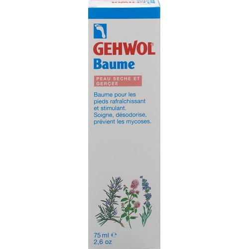 Gehwol Balsam Trockene Haut E/f Tube 75ml buy online