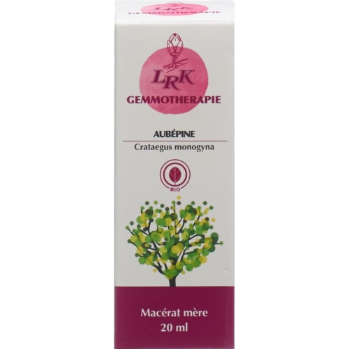 Lrk Mutter Mazerat Weissdorn Tropfen Flasche 20ml buy online