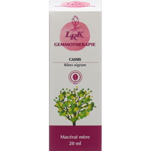 Lrk Mutter Mazerat Sch. Johannisb Tropfen Flasche 20ml buy online