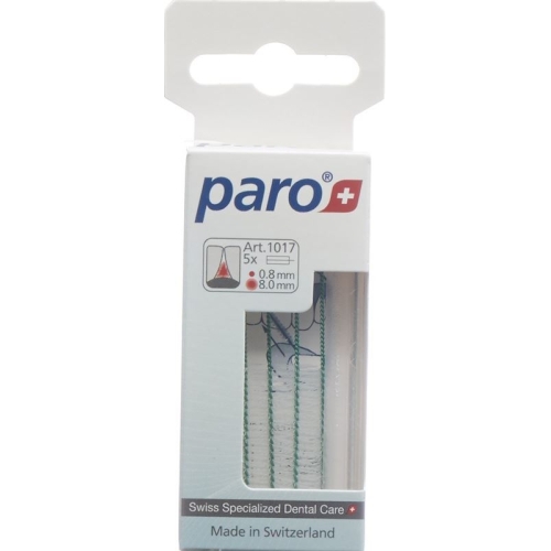 Paro Isola Long 8mm Medium Grün zylindrisch 5 Stück buy online