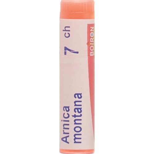 Boiron Arnica Montana Globuli C 7 1 Dos buy online