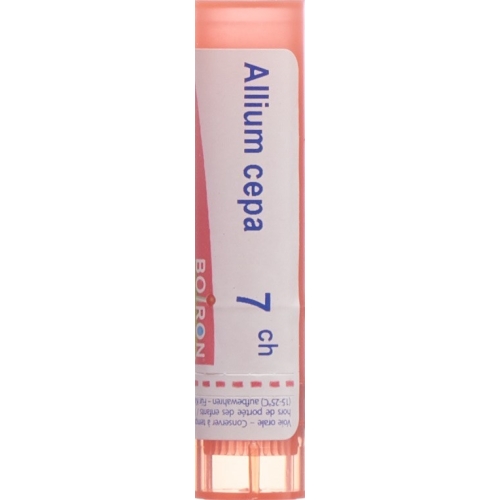 Boiron Allium Cepa Granulat C 7 4g buy online