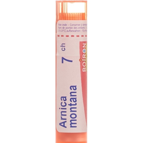 Boiron Arnica Montana Granulat C 7 4g buy online