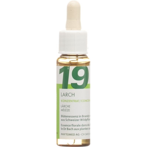 Phytomed Bachblüten No19 Laerche Flasche 10ml buy online