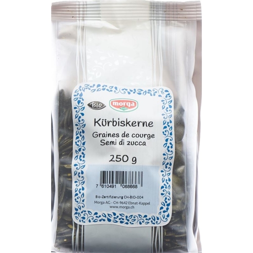 Holle Kürbiskerne Bio 250g buy online