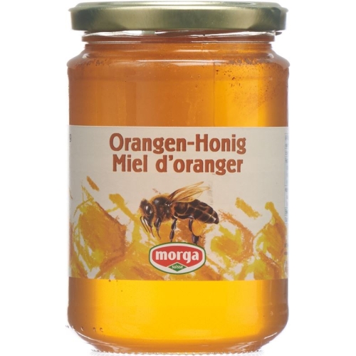 Morga Orangen Honig Glas 500g buy online