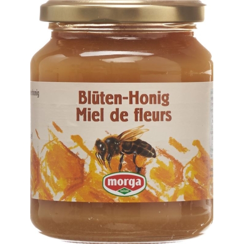 Morga Blüten Honig Ausland 500g buy online