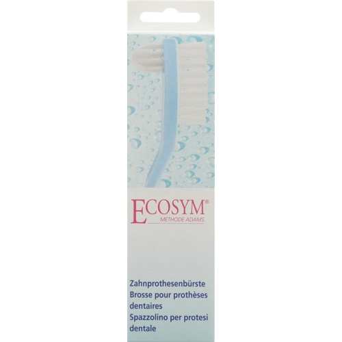 Ecosym denture brush buy online