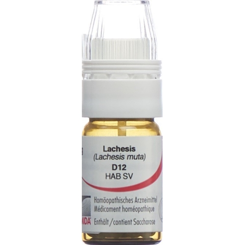 Omida Lachesis Globuli D 12 Dosierhilfe 4g buy online