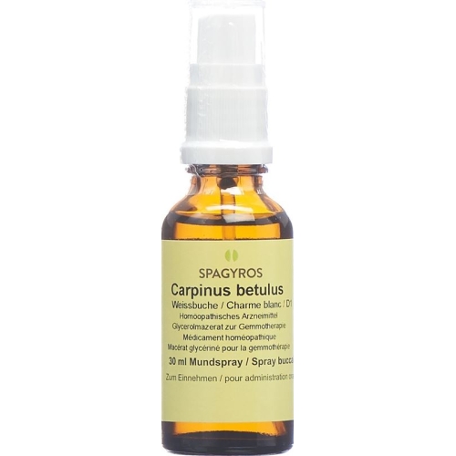 Spagyros Gemmo Carpinus Betulus Glyc Maz D 1 30ml buy online