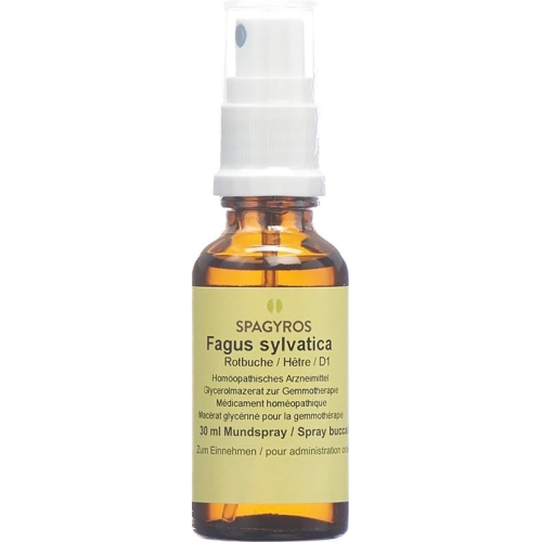 Spagyros Gemmo Fagus Sylvatica Glyc Maz D 1 30ml buy online