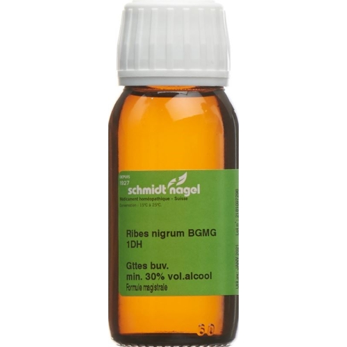 Sn Ribes Nigrum Bg Glyc Maz Dh 1 60ml buy online