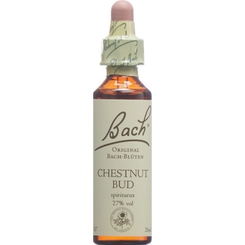 Bachblüten Chestnut Bud Nr. 7 Flüssig 20ml buy online