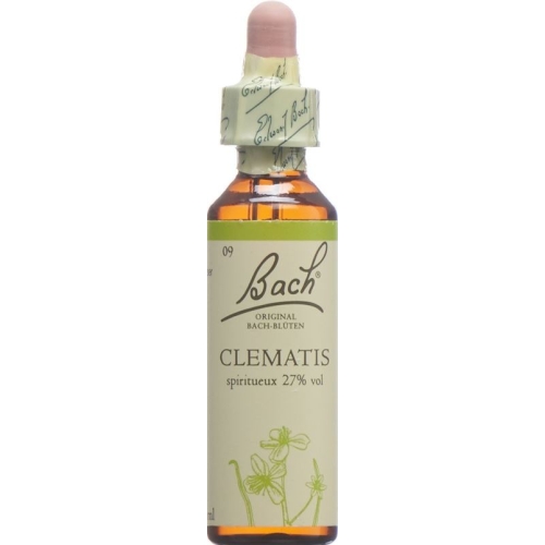 Bachblüten Clematis Nr. 9 Flüssig 20ml buy online