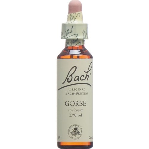 Bachblüten Gorse Nr. 13 Flüssig 20ml buy online