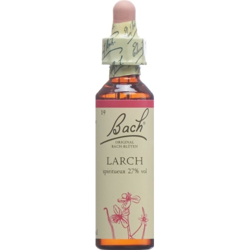 Bachblüten Larch Nr. 19 Flüssig 20ml buy online