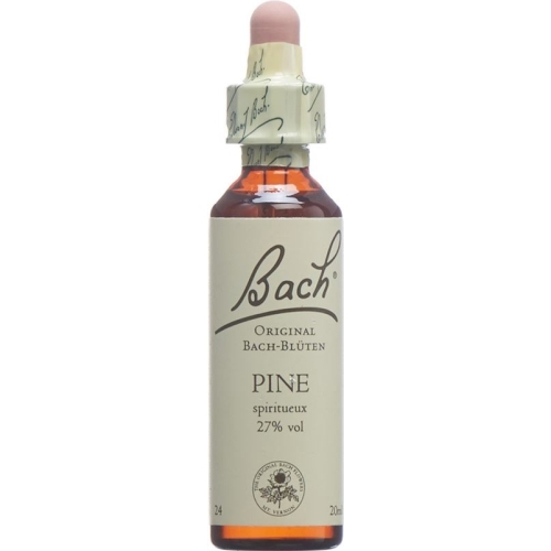 Bachblüten Pine Nr. 24 Flüssig 20ml buy online