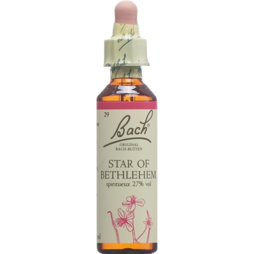 Bachblüten Star Of Bethlehem Nr. 29 Flüssig 20ml buy online