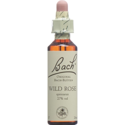 Bachblüten Wild Rose Nr. 37 Flüssig 20ml buy online