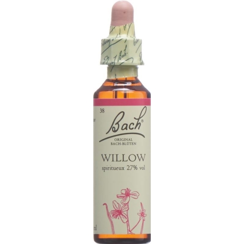 Bachblüten Willow Nr. 38 Flüssig 20ml buy online