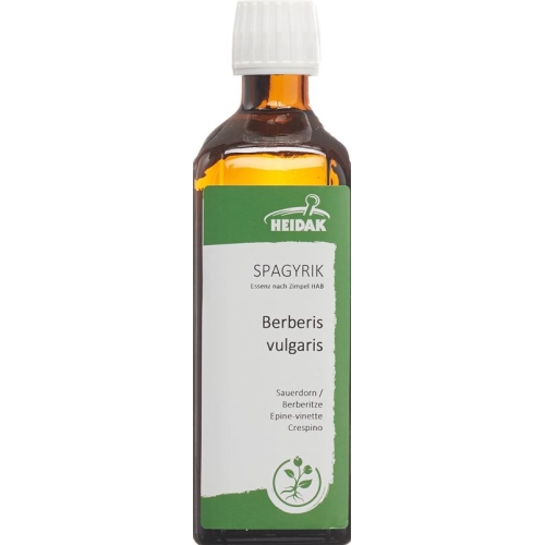 Spagyrik Berberis Vulgaris 500ml buy online