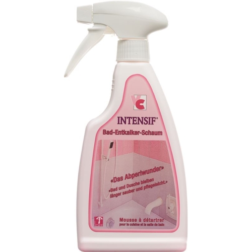 Intensif Bad Entkalker Schaum Liquid 500g buy online