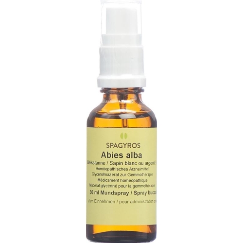 Spagyros Gemmo Abies Alba Glyc Maz D 1 30ml buy online